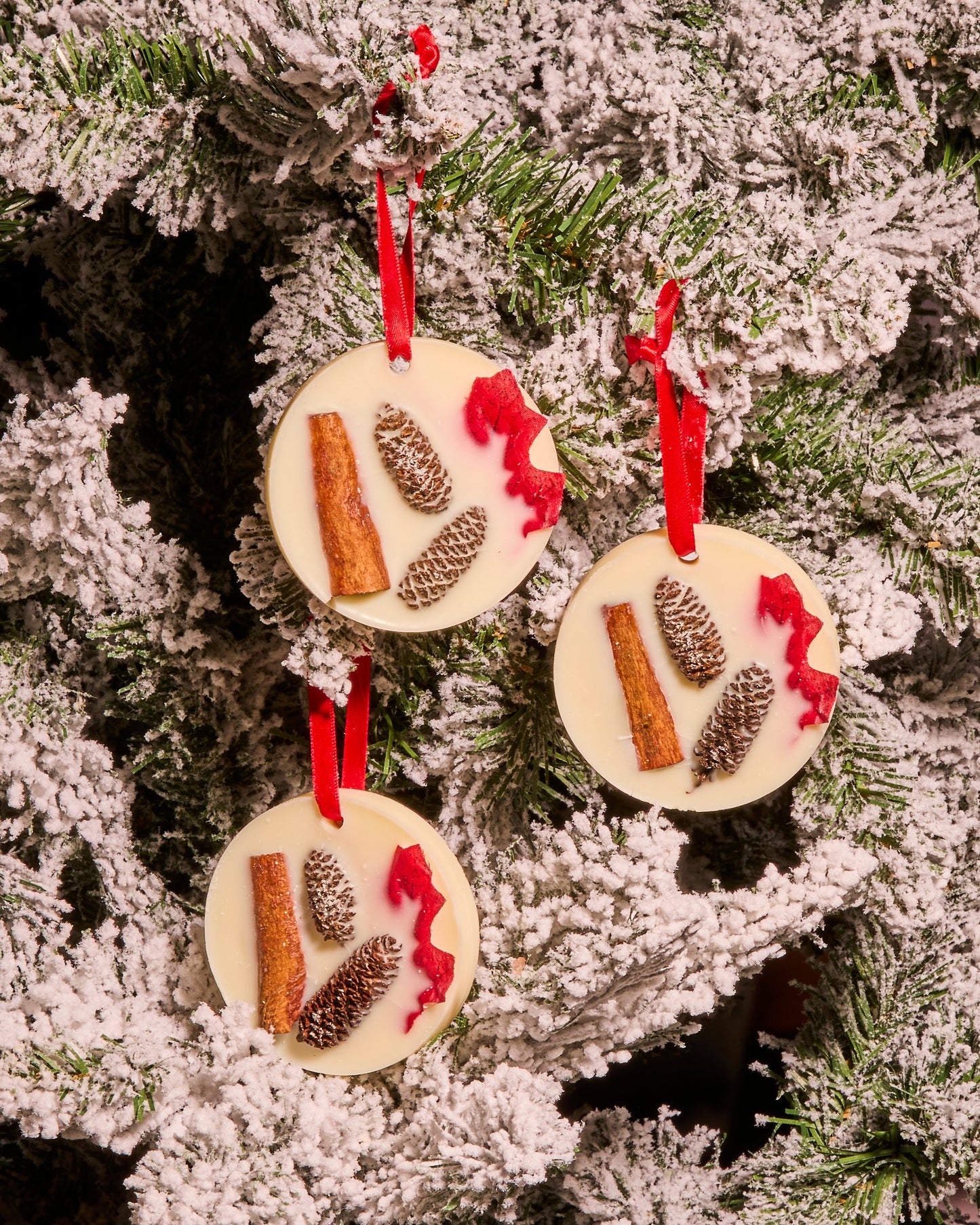 Spiced Apple TESTER Tree Decoration - Apple, Cinnamon and Nutmeg
