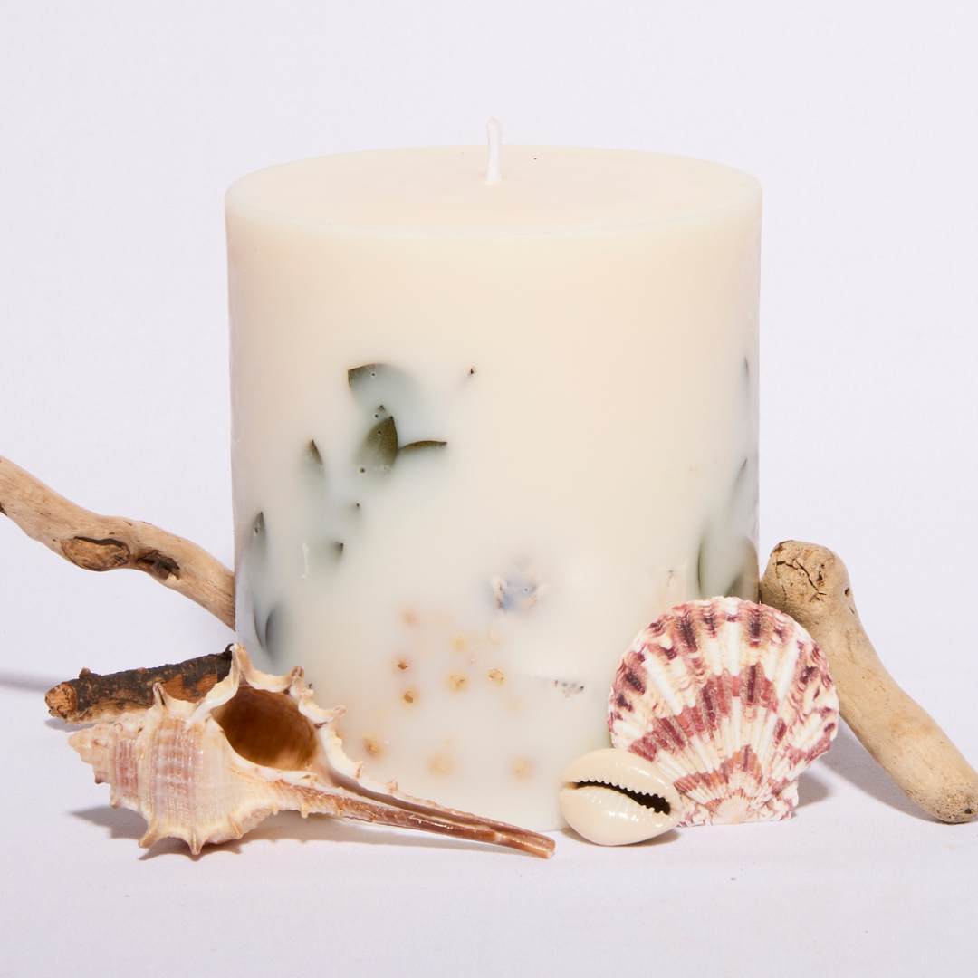 Seasalt & Driftwood Single Wick Botanical Candle