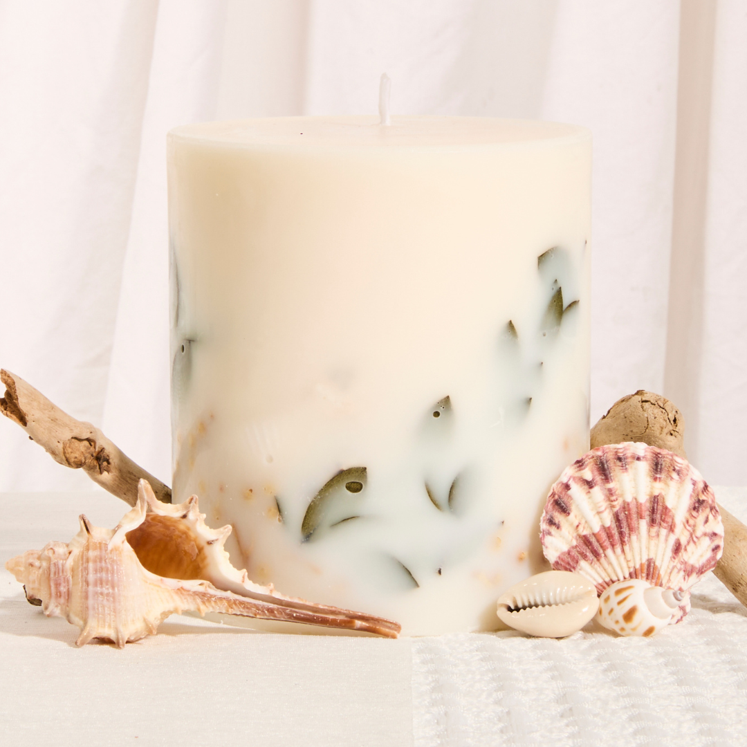 Seasalt & Driftwood Single Wick Botanical Candle