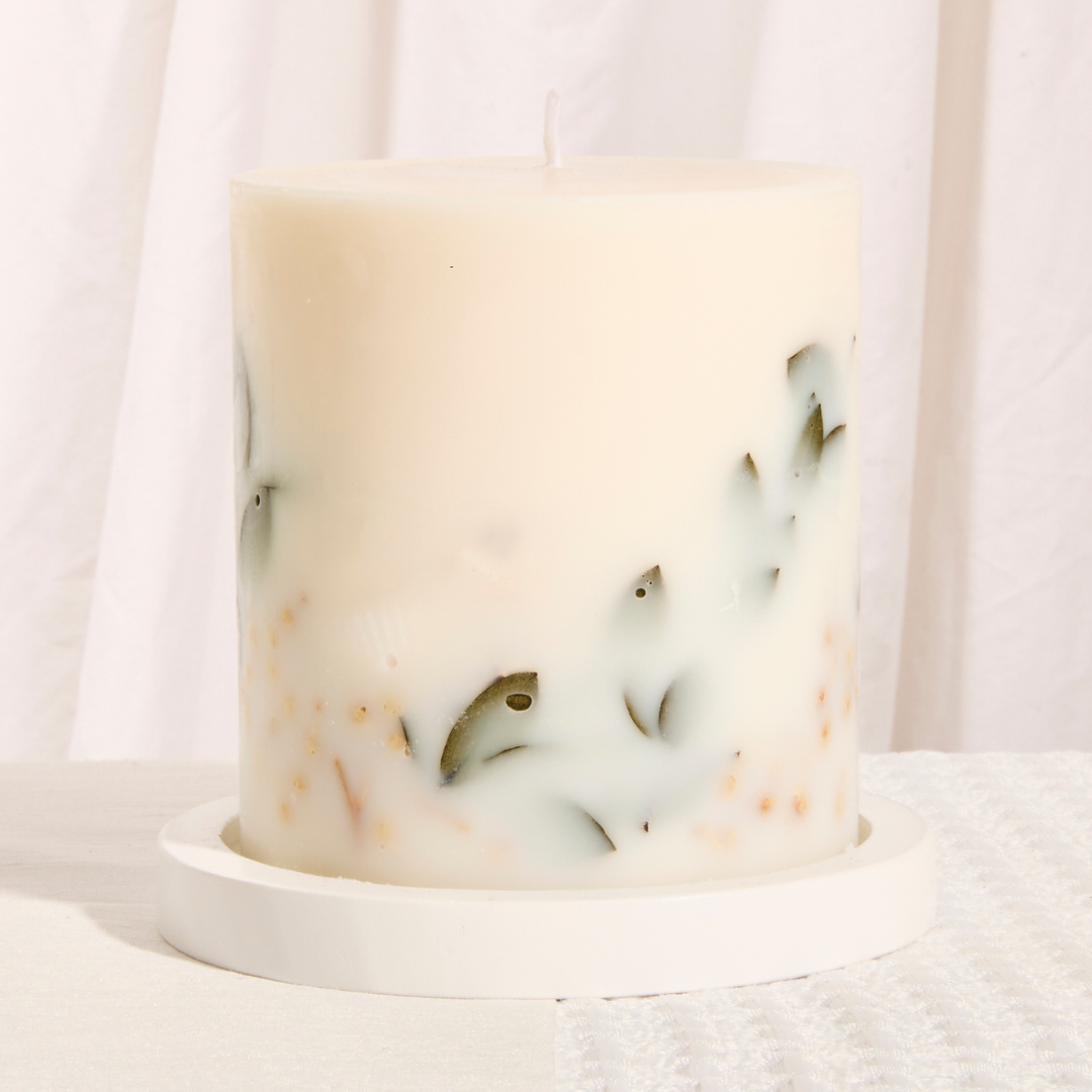 Seasalt & Driftwood Single Wick Botanical Candle